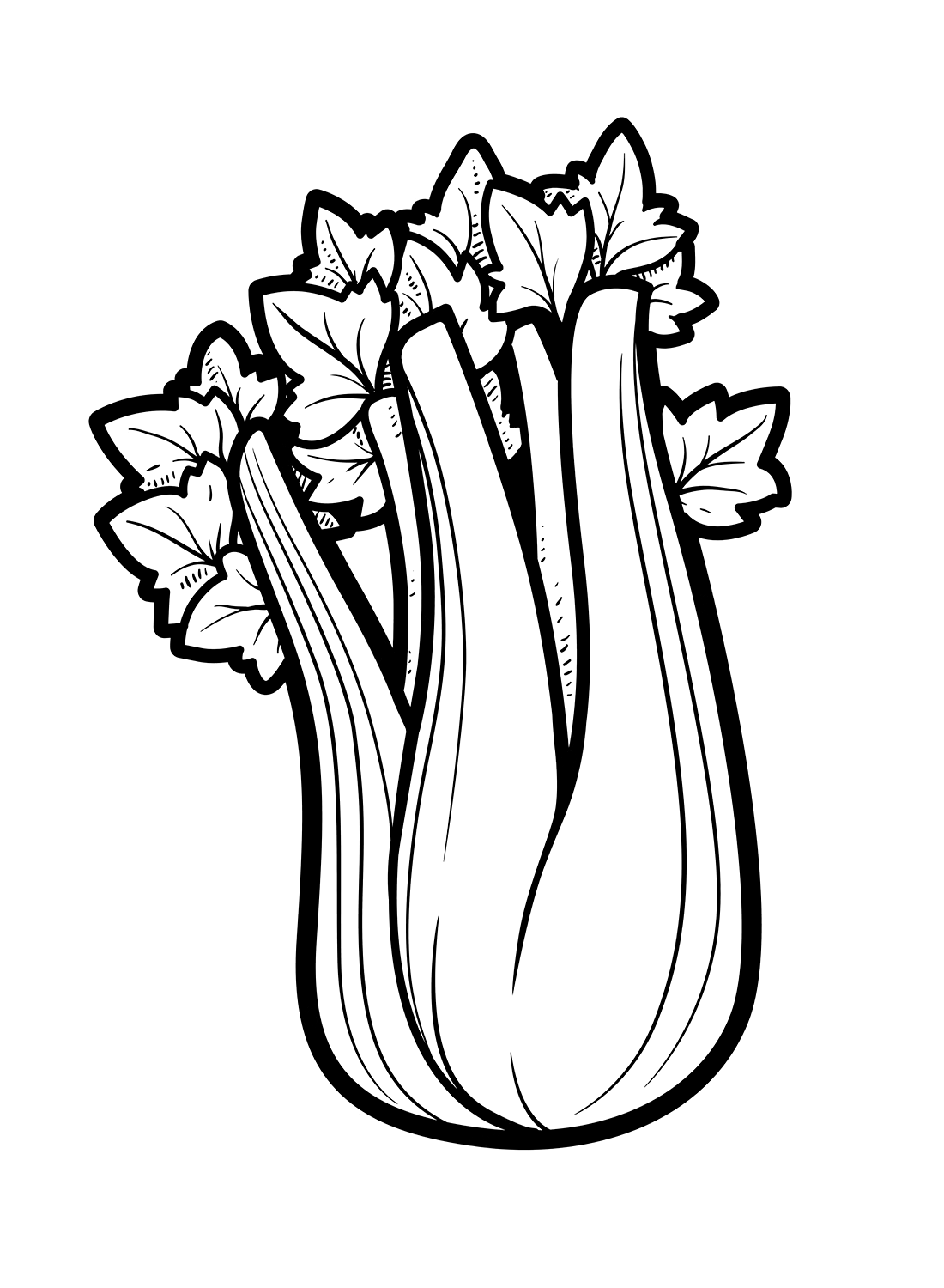 Celery Coloring Page Free from Celery