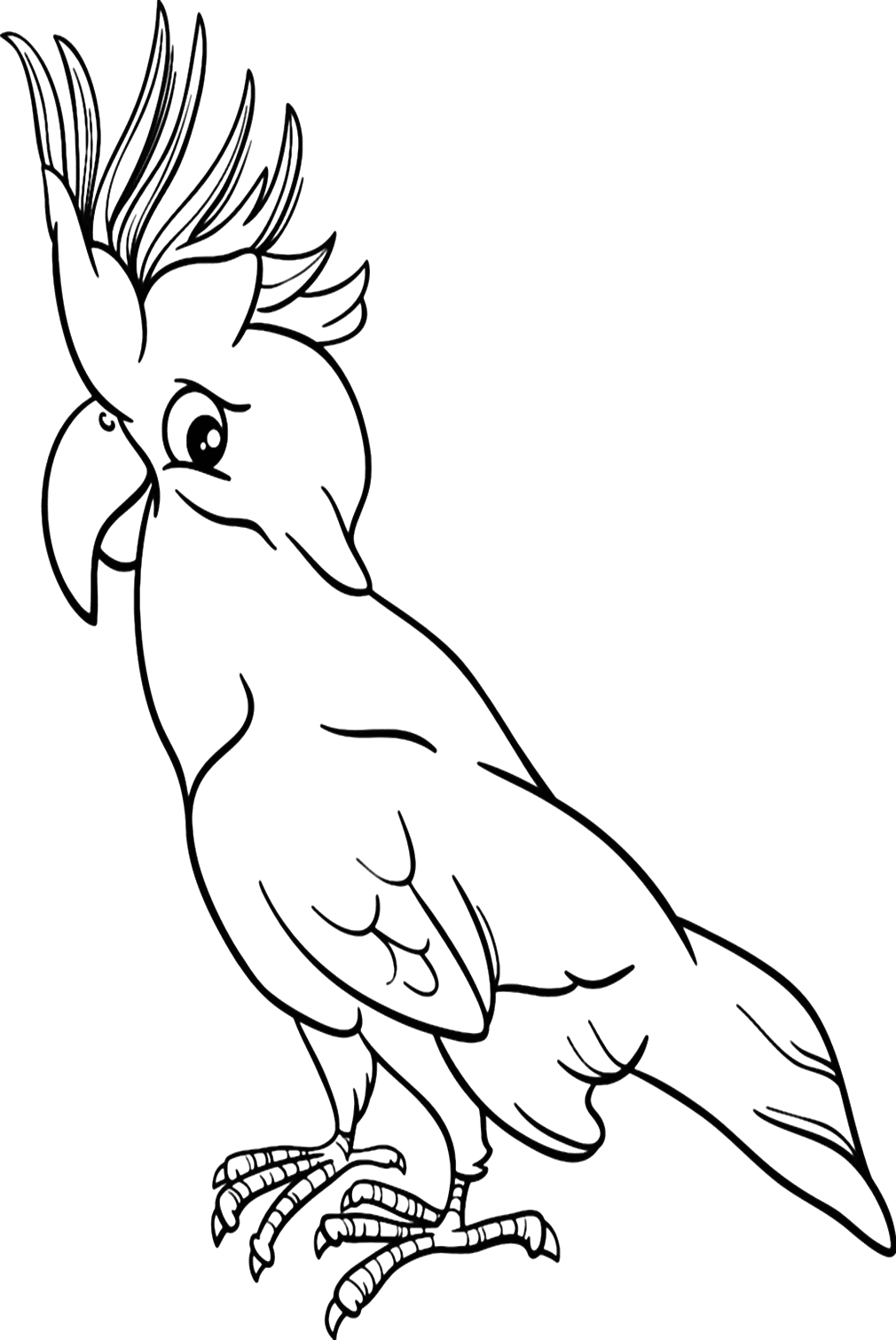 Cockatiel Picture To Color - Free Printable Coloring Pages