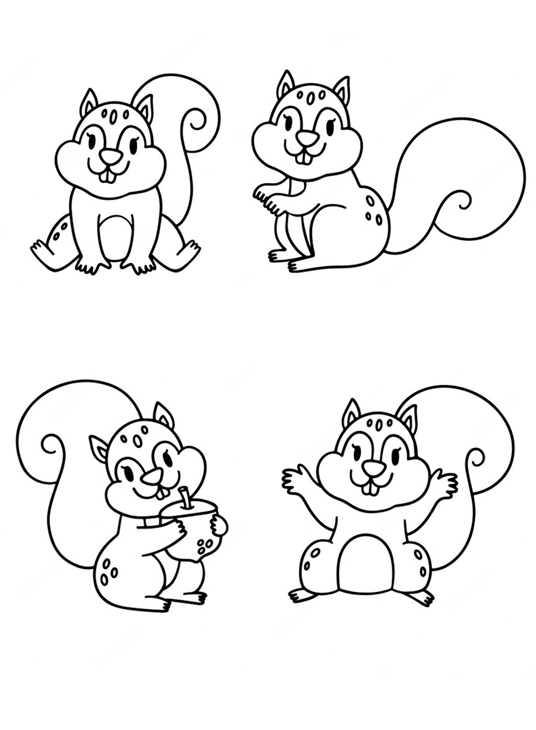 Disegni da colorare di scoiattoli di Squirrel