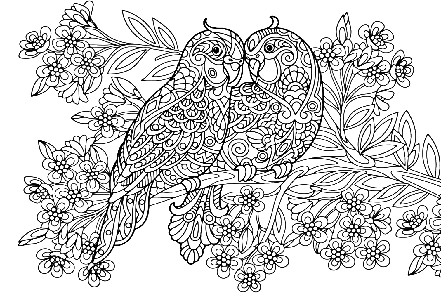 Página para colorear de pareja de periquitos de Parakeet