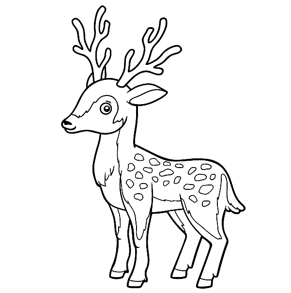 Cute deer coloring page