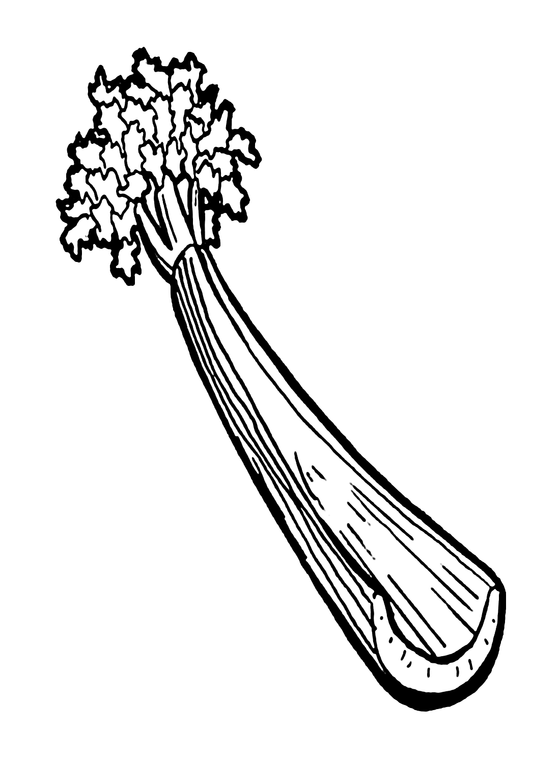 Раскраска Сельдерей от Celery для печати бесплатно