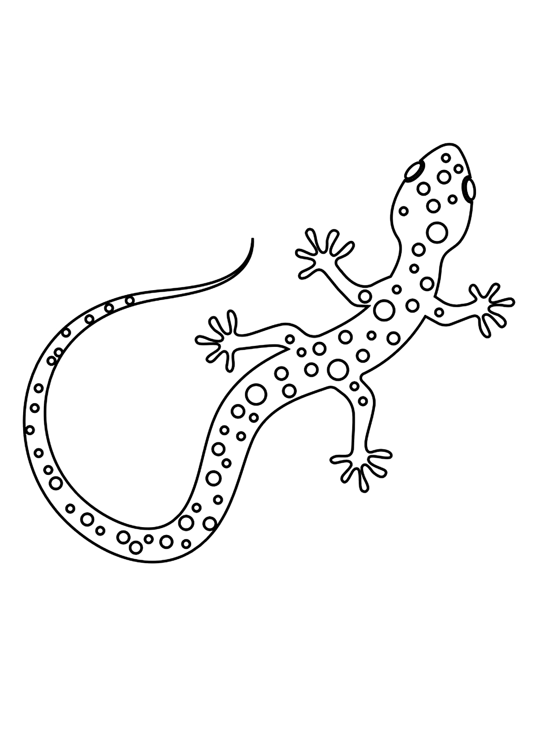 Lizard coloring page printable