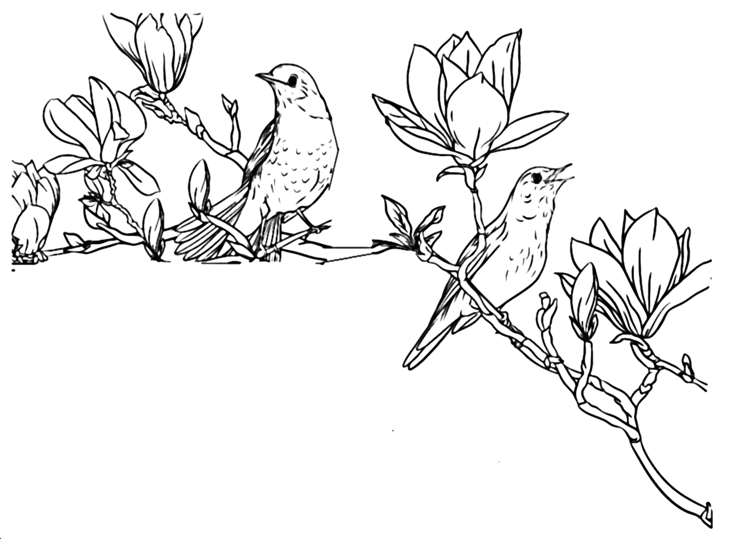 Página para colorear de Magnolia Nightingale de Nightingale