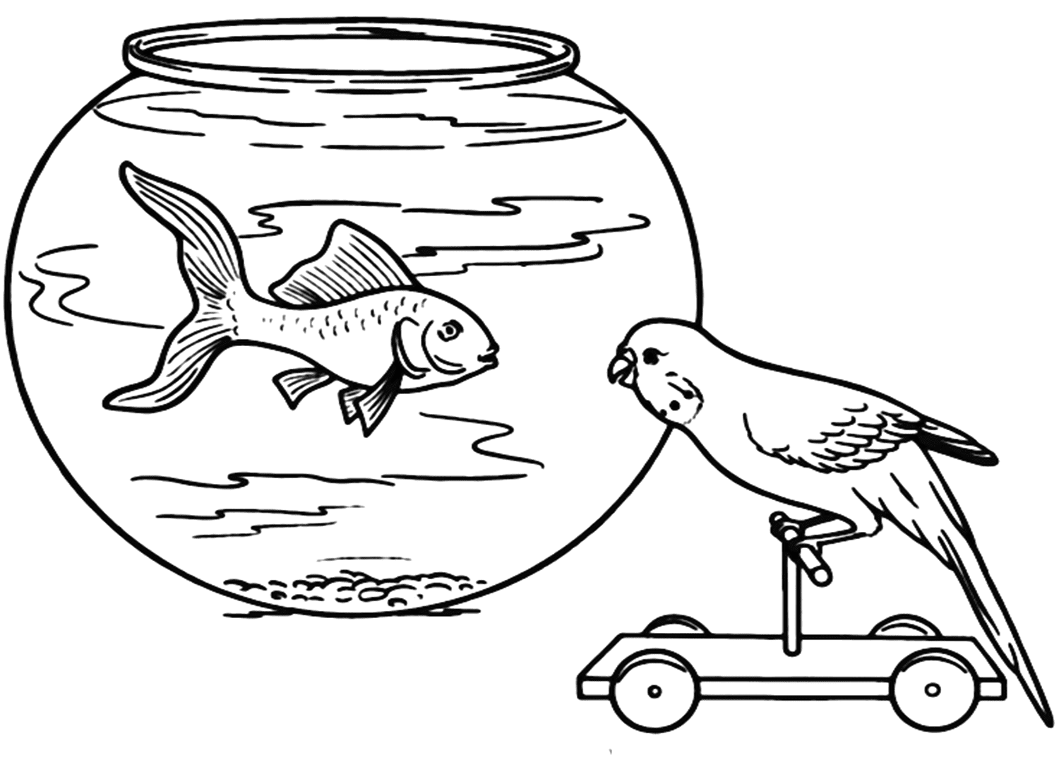 Malvorlage für Sittiche und Goldfische von Parakeet