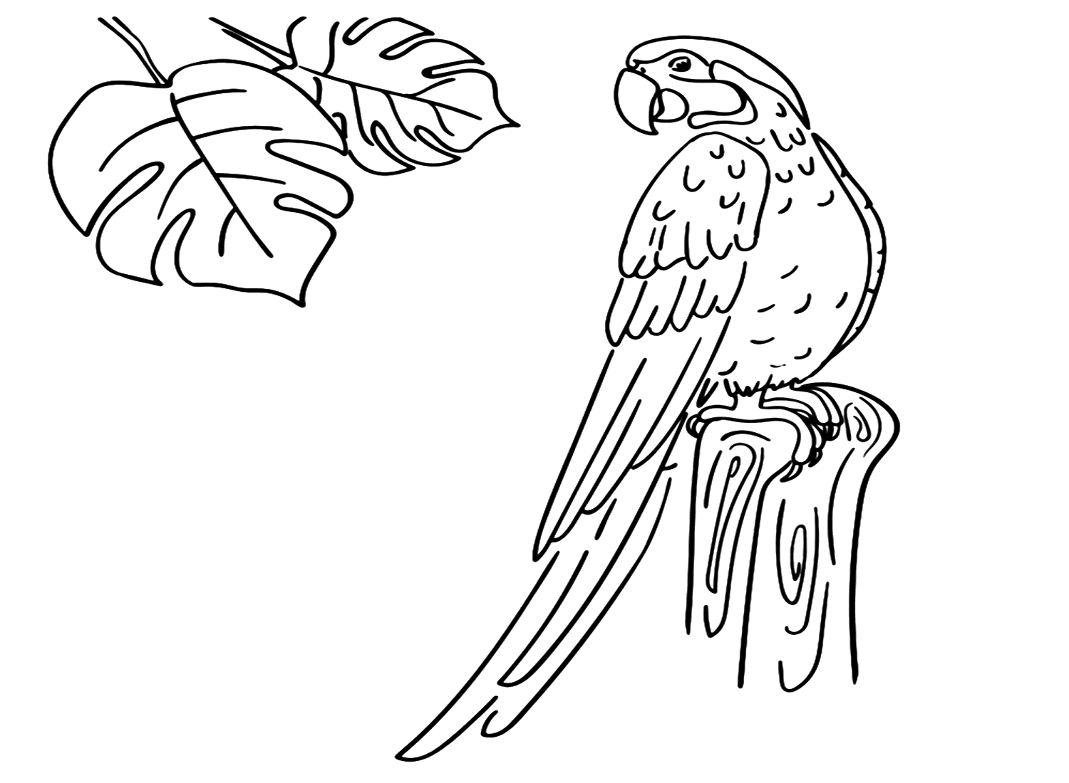 Parakeet Image To Color from Parakeet