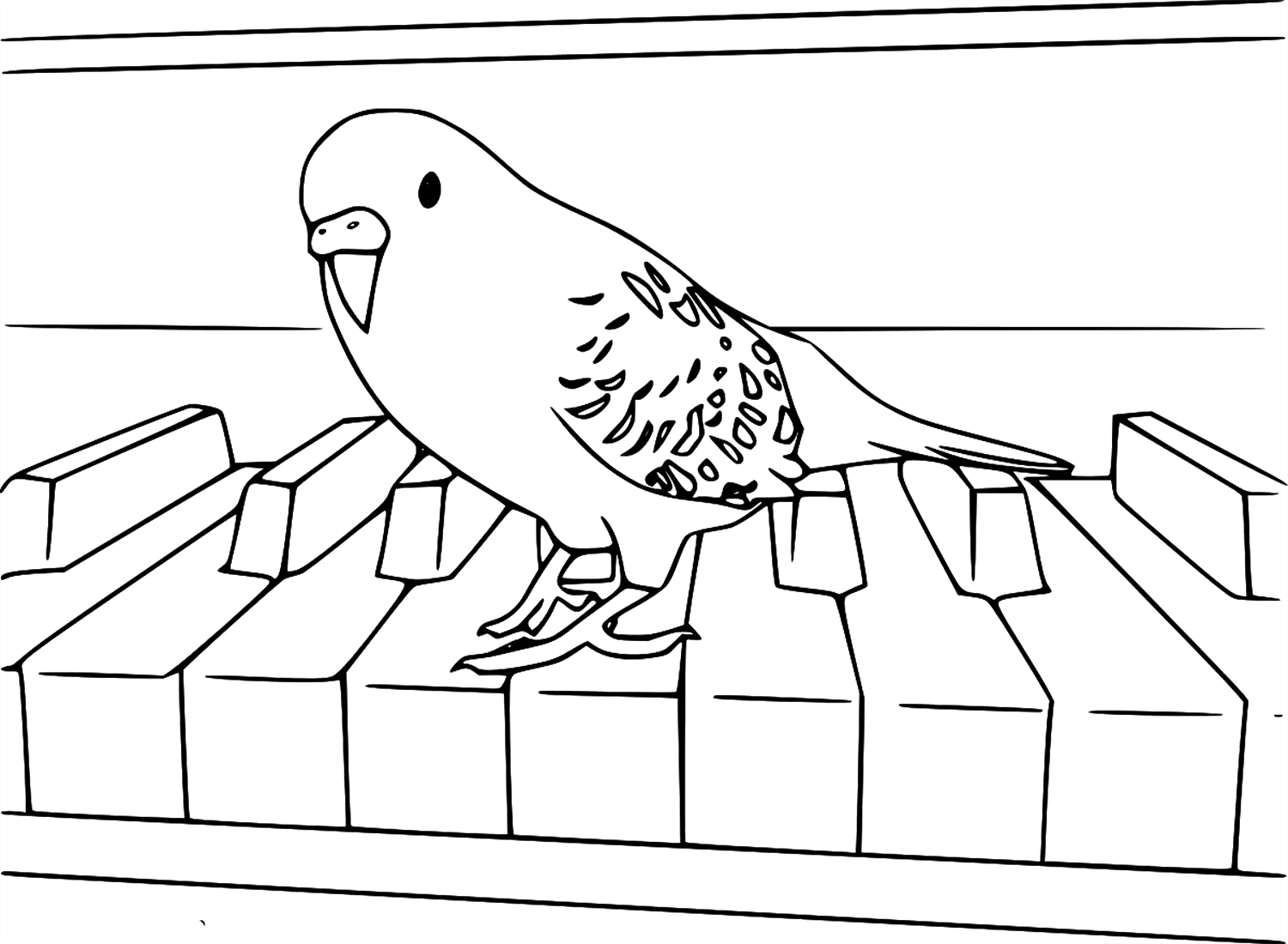 Parakeet On The Piano Coloring Sheet