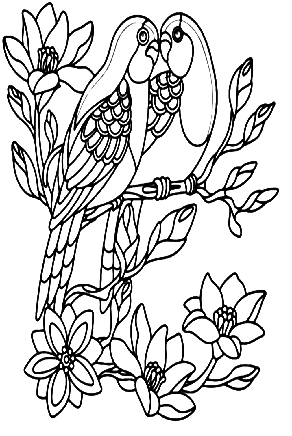 Hoja para colorear de periquitos con flores de Parakeet