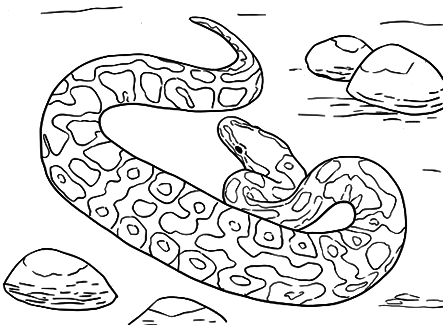 Раскраска Python для печати от Python
