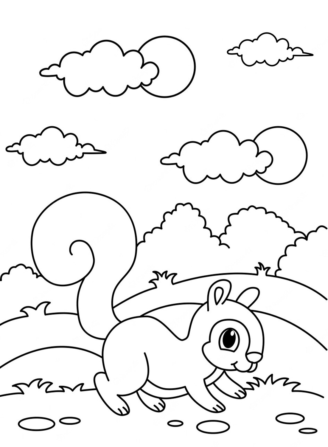 Squirrel coloring page free
