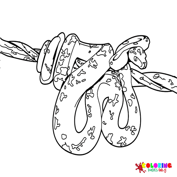 Python Coloring Pages