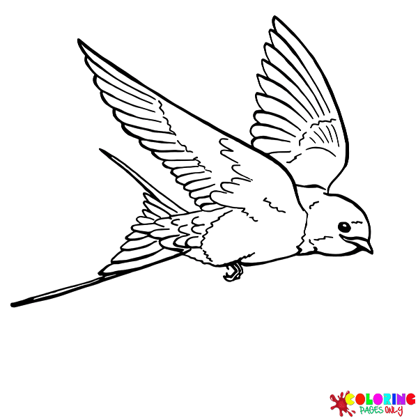 Swallow Coloring Pages