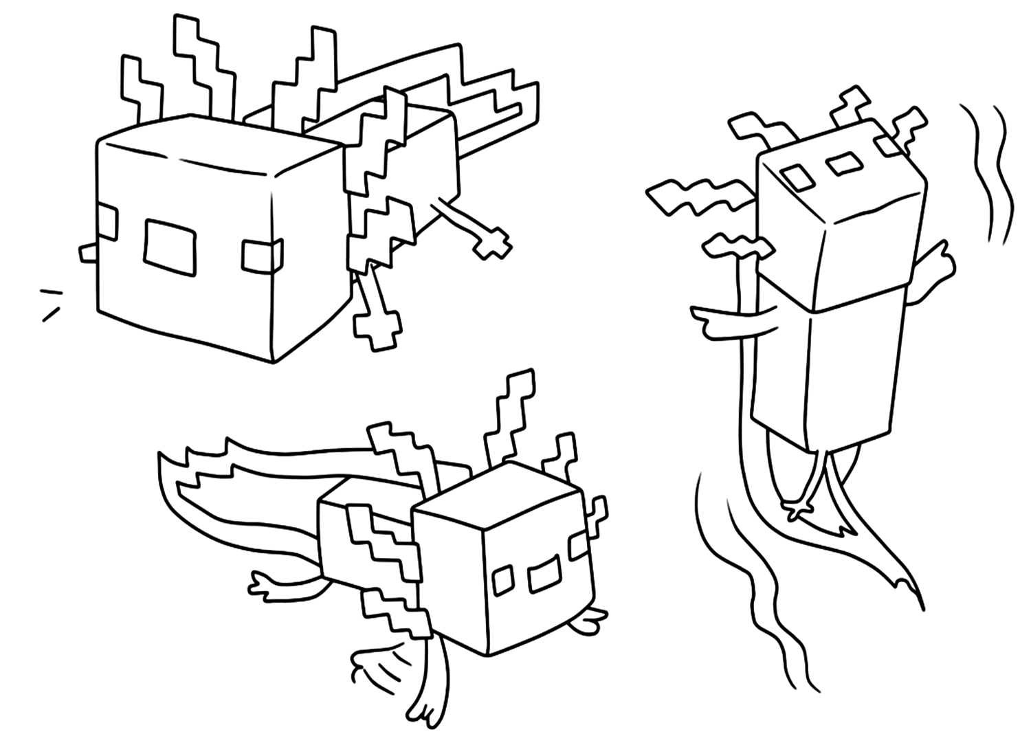 Coloriage Axolotl Imprimable Coloriages Axolotl Coloriages Pour 