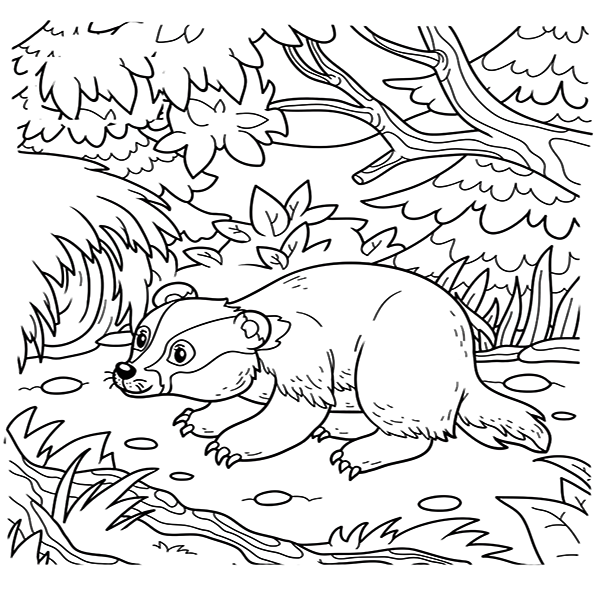 Badger In Forest Coloring Page