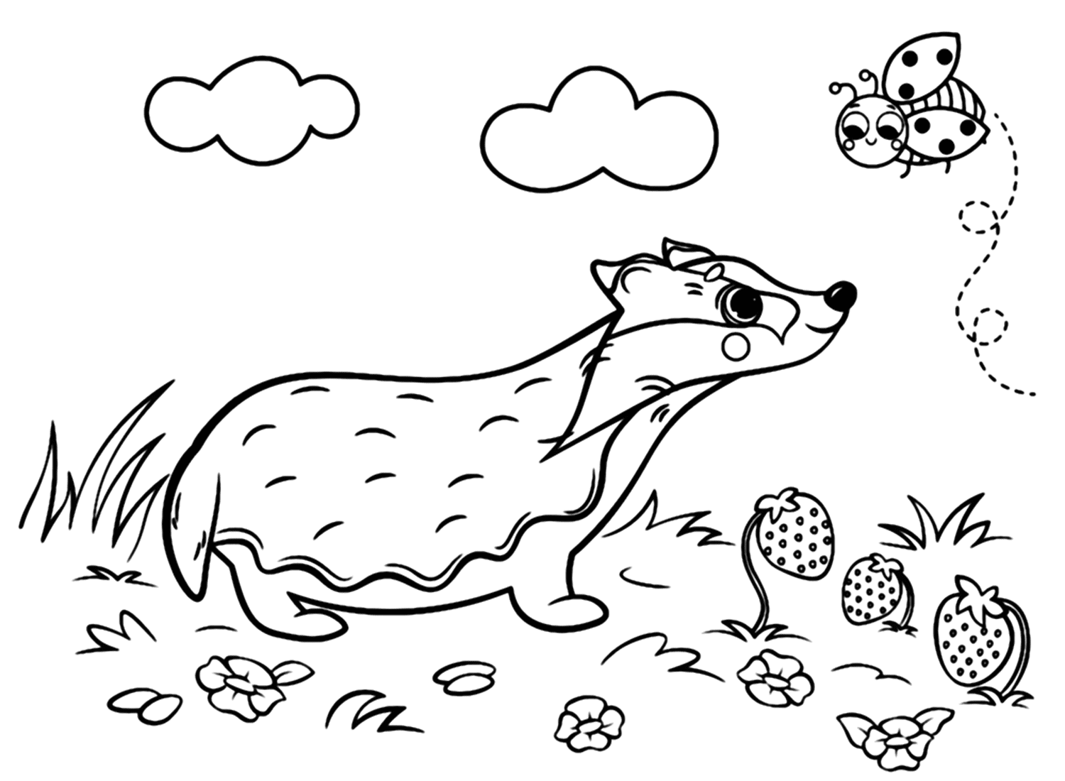 Badger With Butterfly Coloring Page