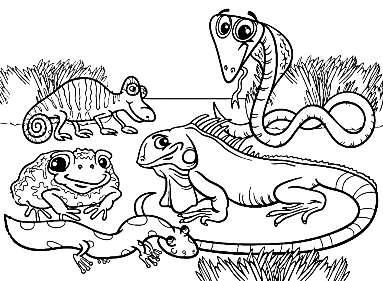 Coloriage de Cane Toad et d'amphibiens de Cane Toad