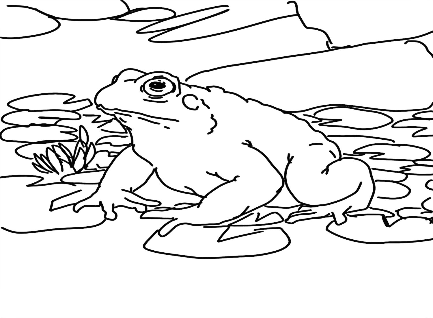 Cane Toad Coloring Page PDF from Cane Toad