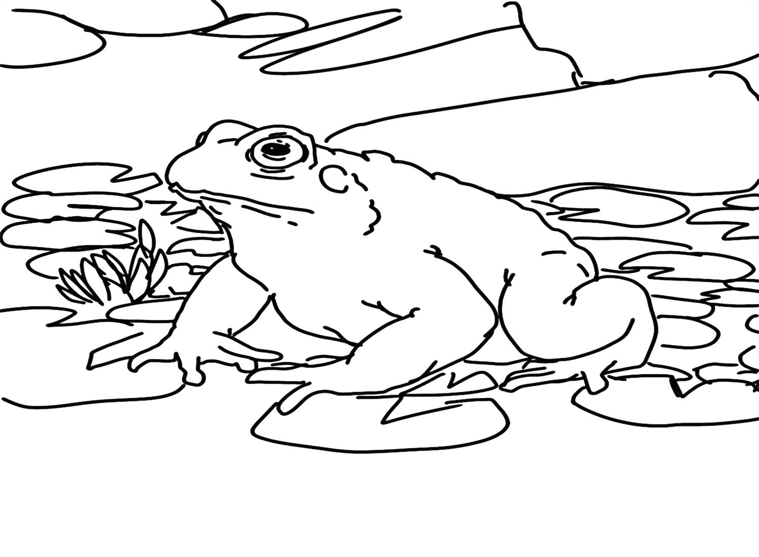 Dibujo Rana Para Colorear E Imprimir Pdf Infoupdate
