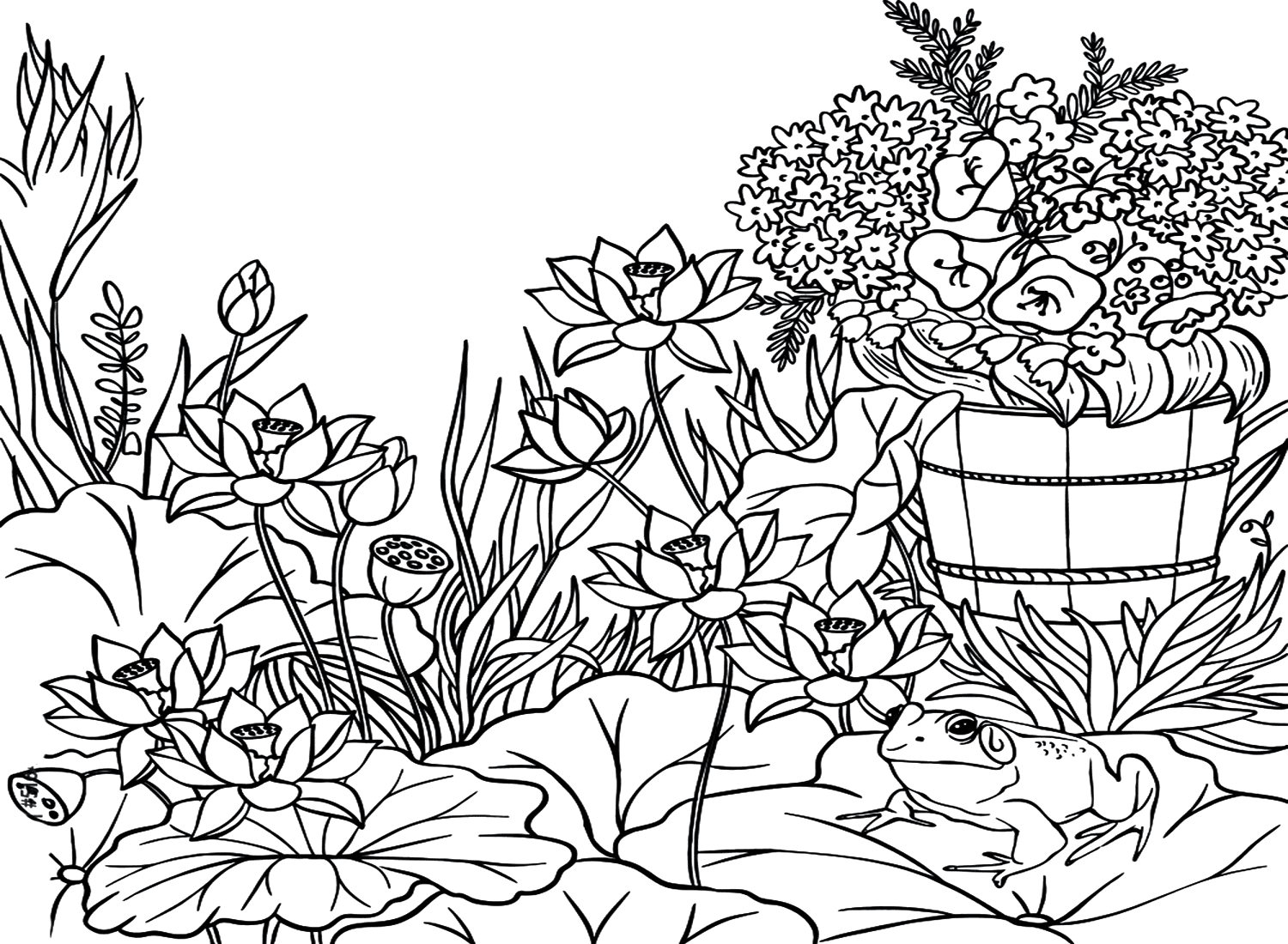 Rospo della canna in giardino Pagina da colorare di Cane Toad