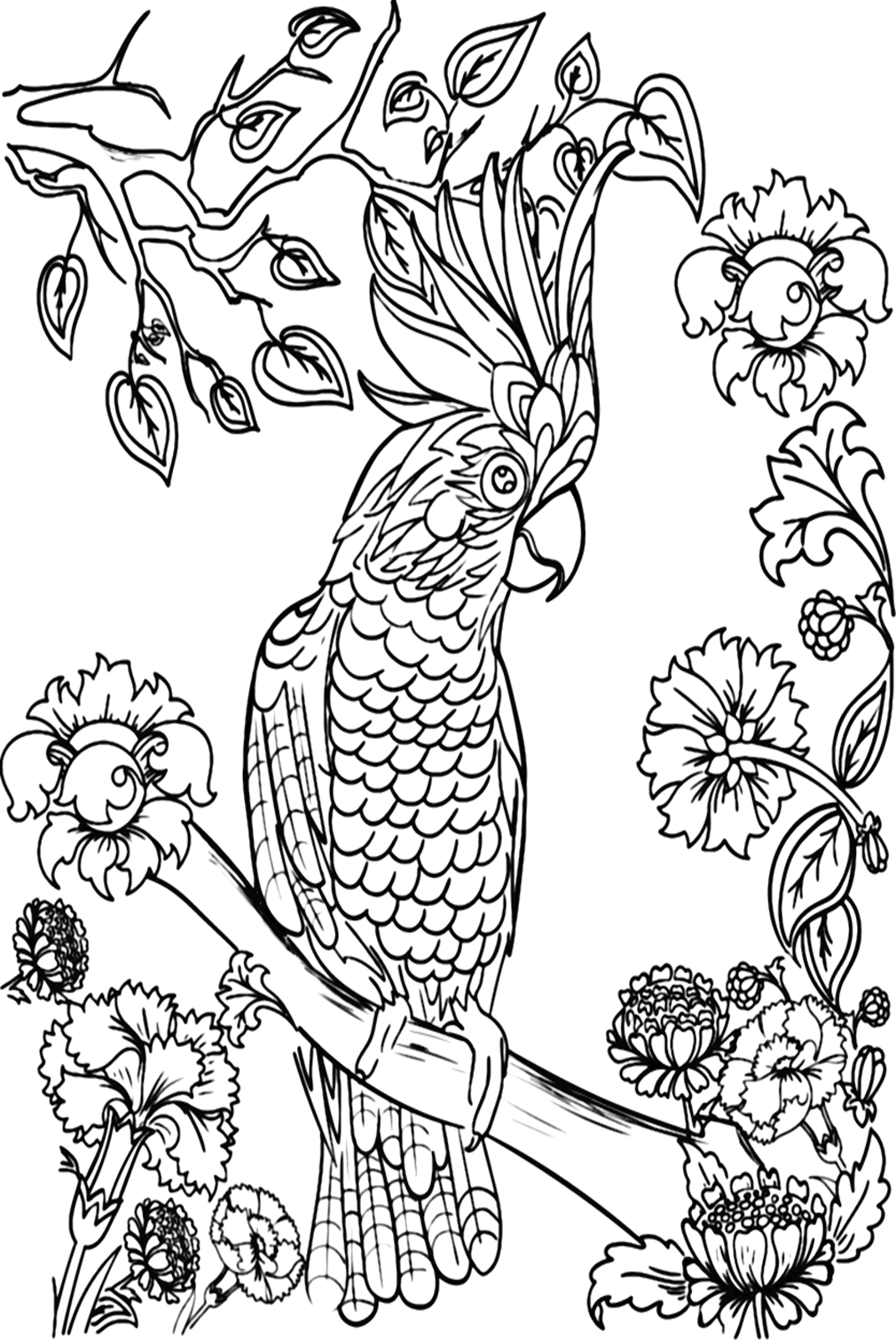Cockatiel Image To Color - Free Printable Coloring Pages