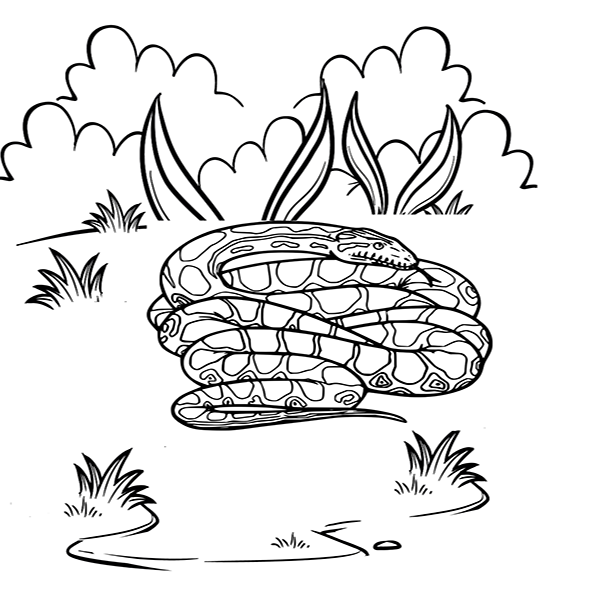 Coloring Sheet Python - Python Coloring Pages - Coloring Pages For Kids ...