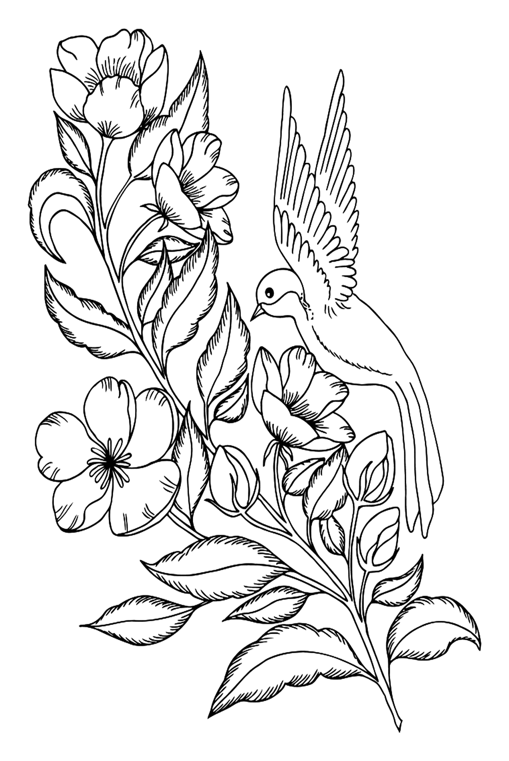 Dibujo para colorear Florence Nightingale de Nightingale