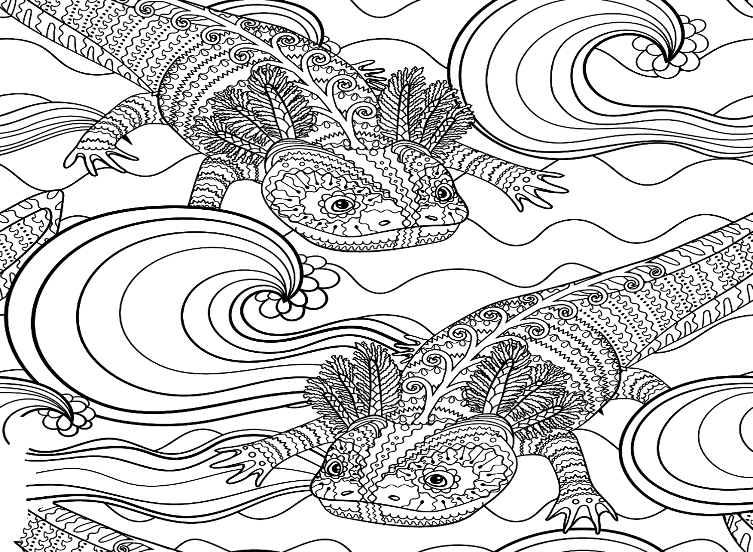 Coloring Pages Axolotl