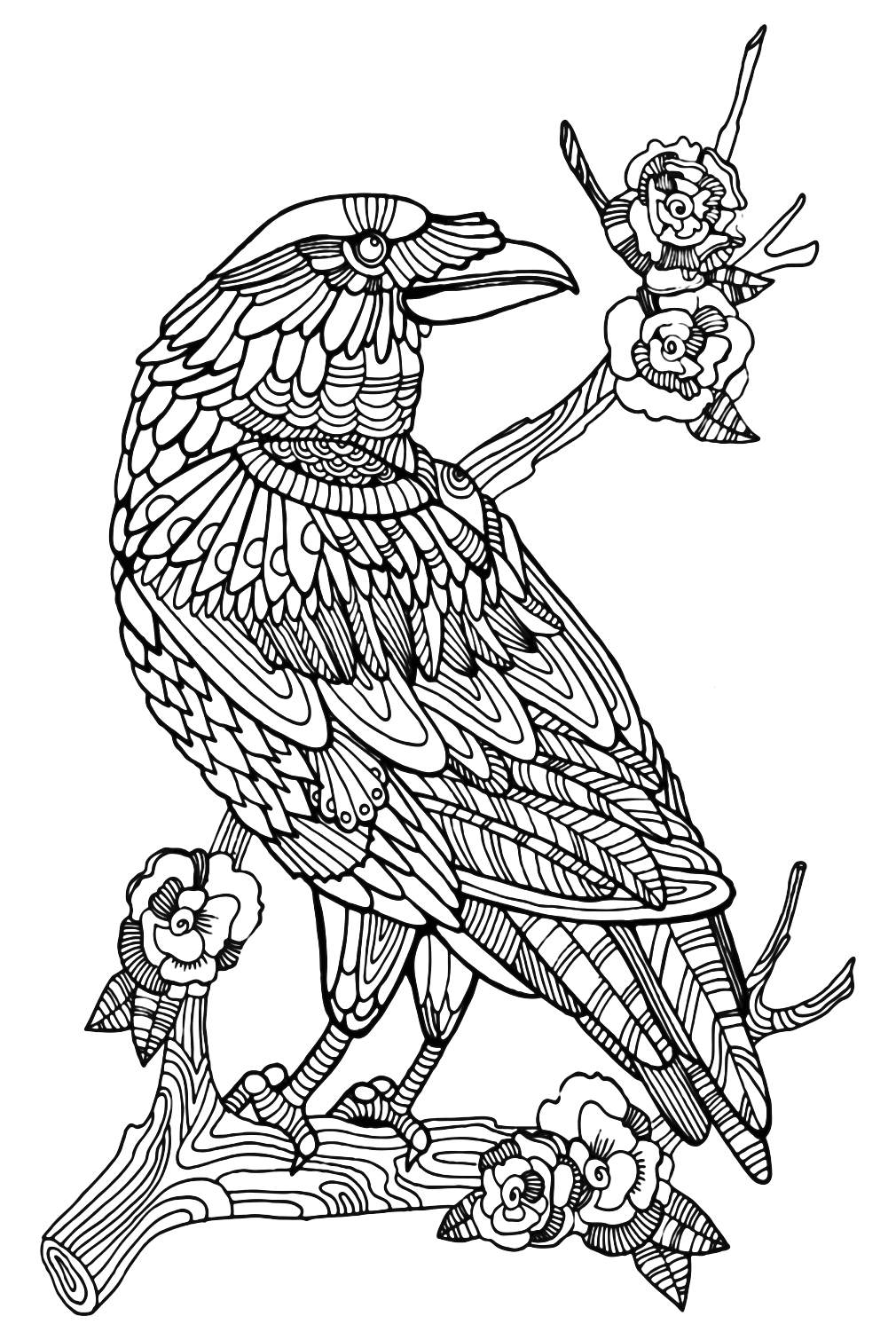 Página para colorear de cuervo para adultos de Crow