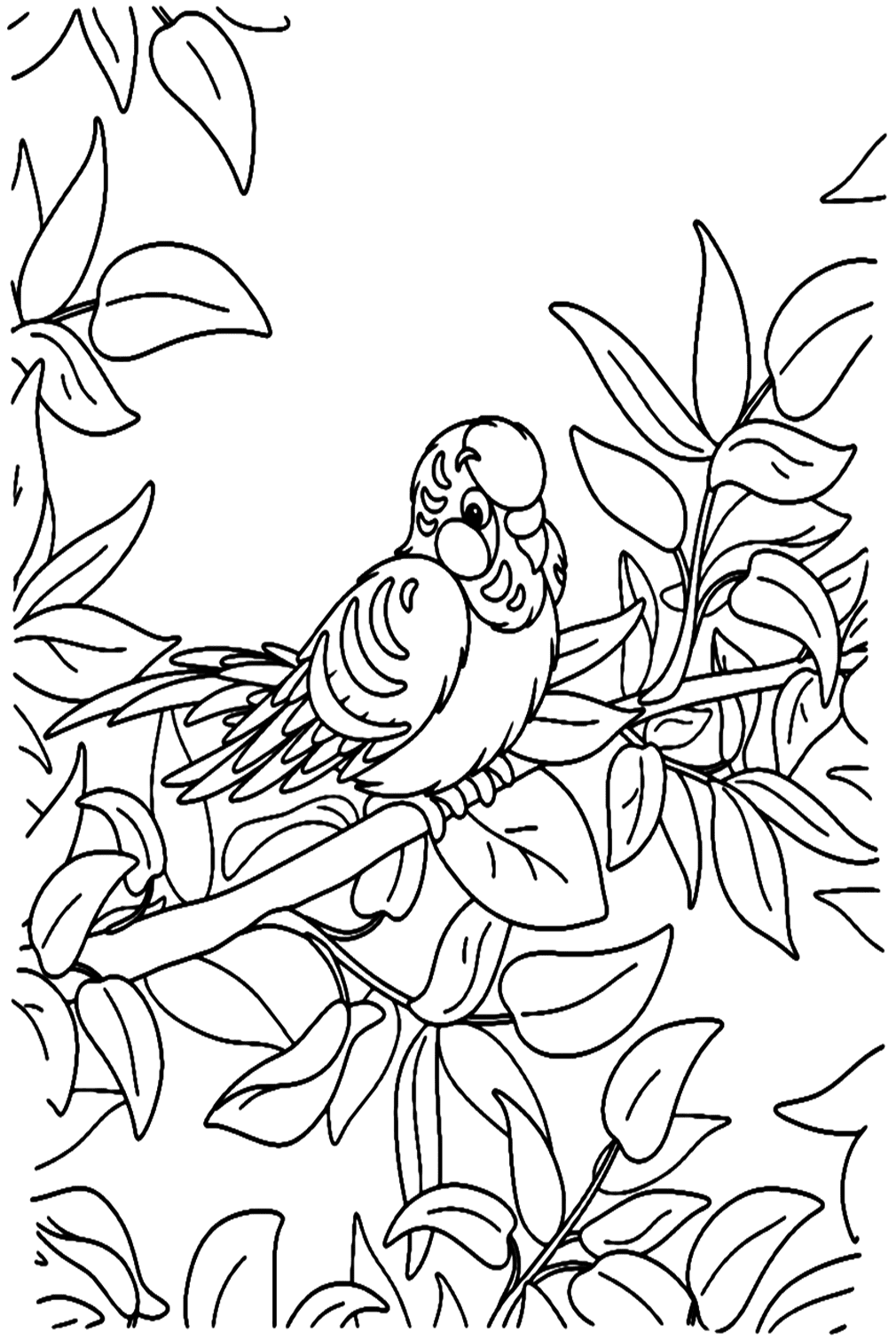 Linda página para colorear de periquito de Parakeet