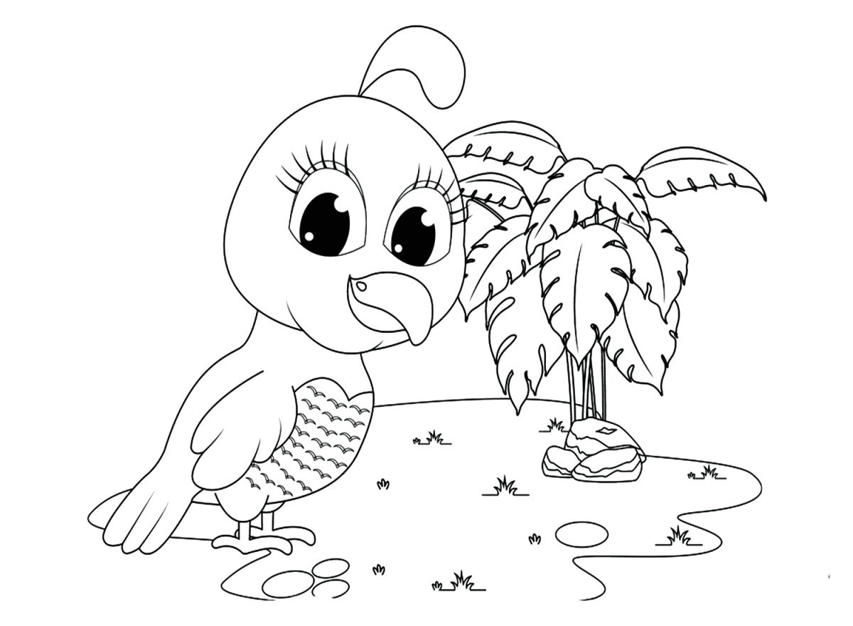 23 Free Printable Quail Coloring Pages