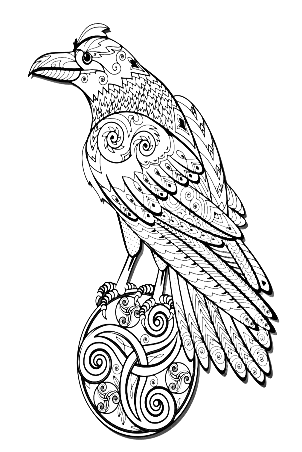 Fairyland Crow Coloring Page