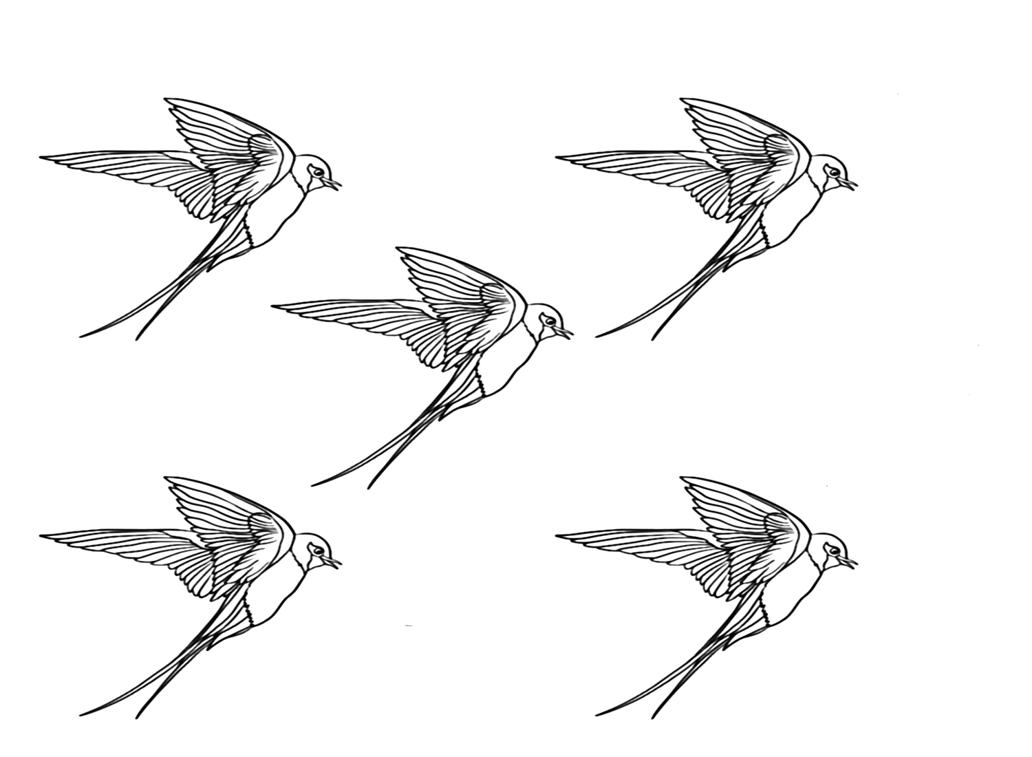 Desenho para colorir de um bando de andorinhas de Swallow