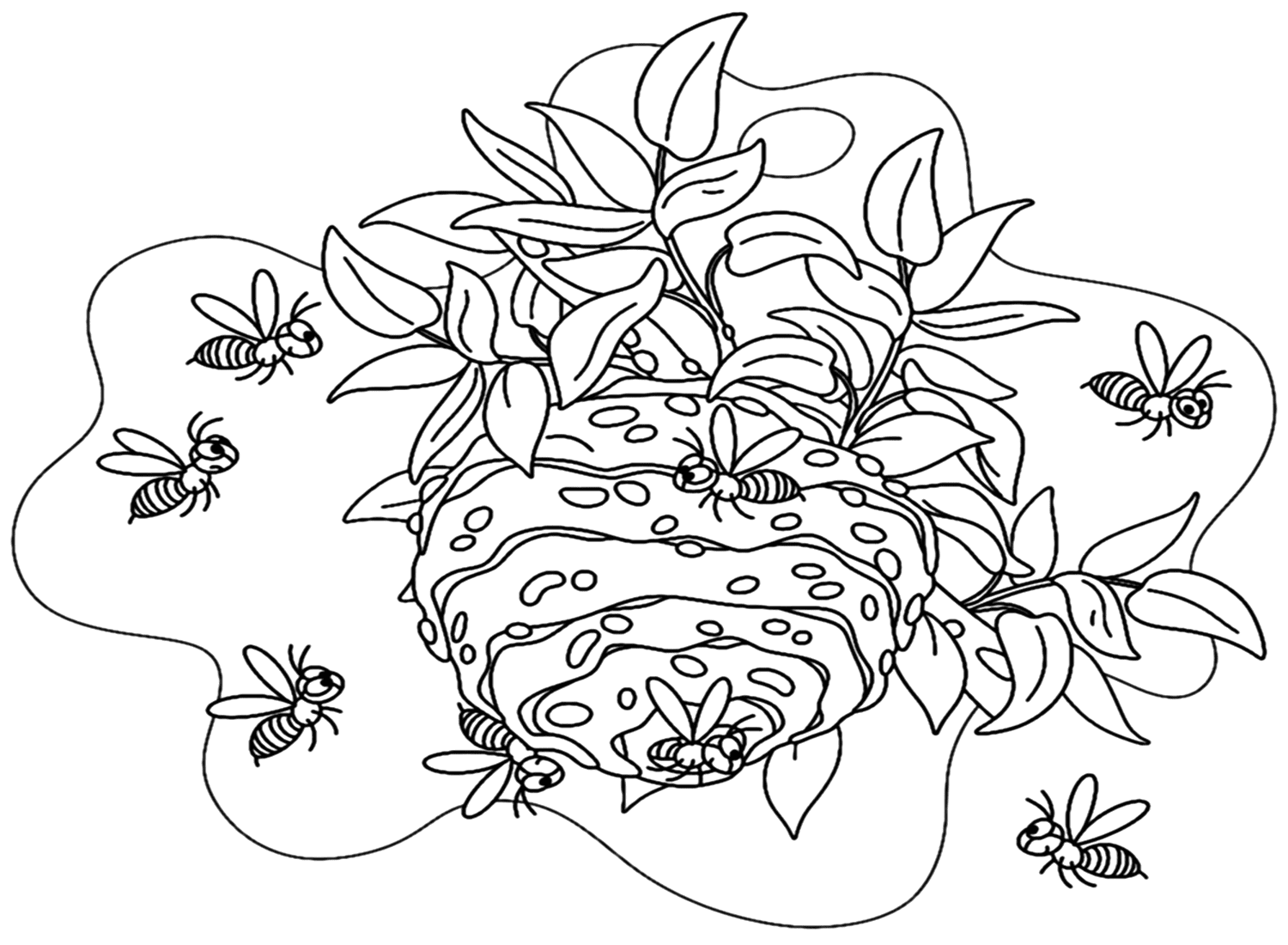 Nest Of Wasp Coloring Sheet from Wasp