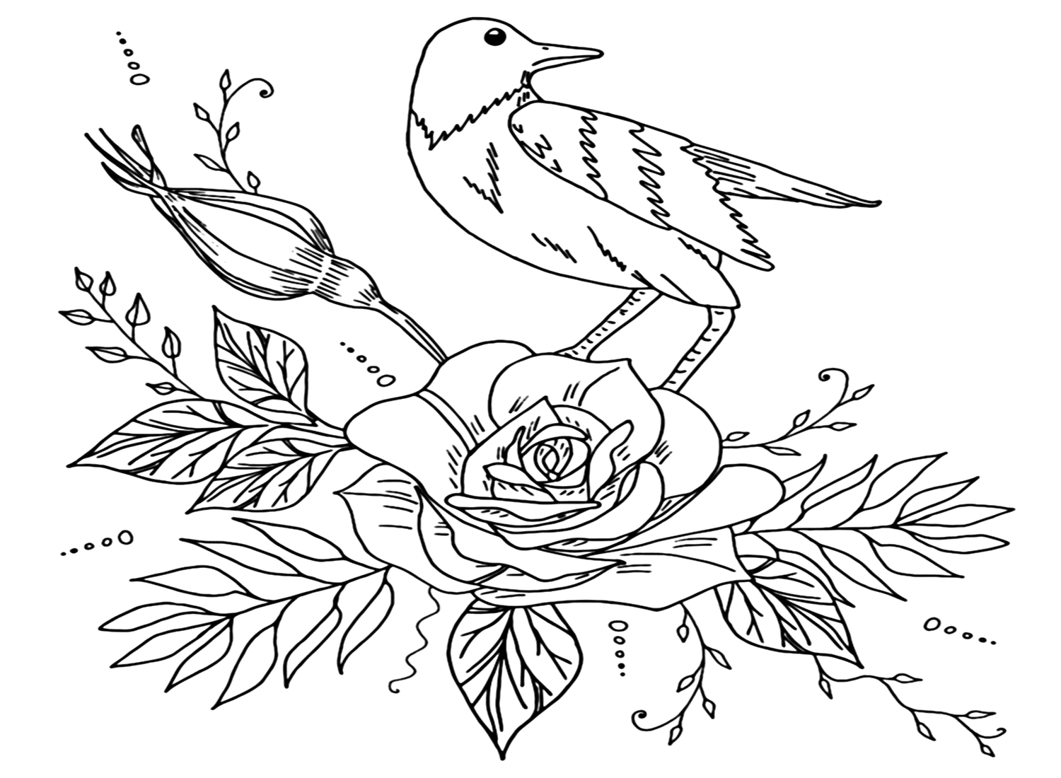 夜莺在玫瑰着色页从南丁格尔
