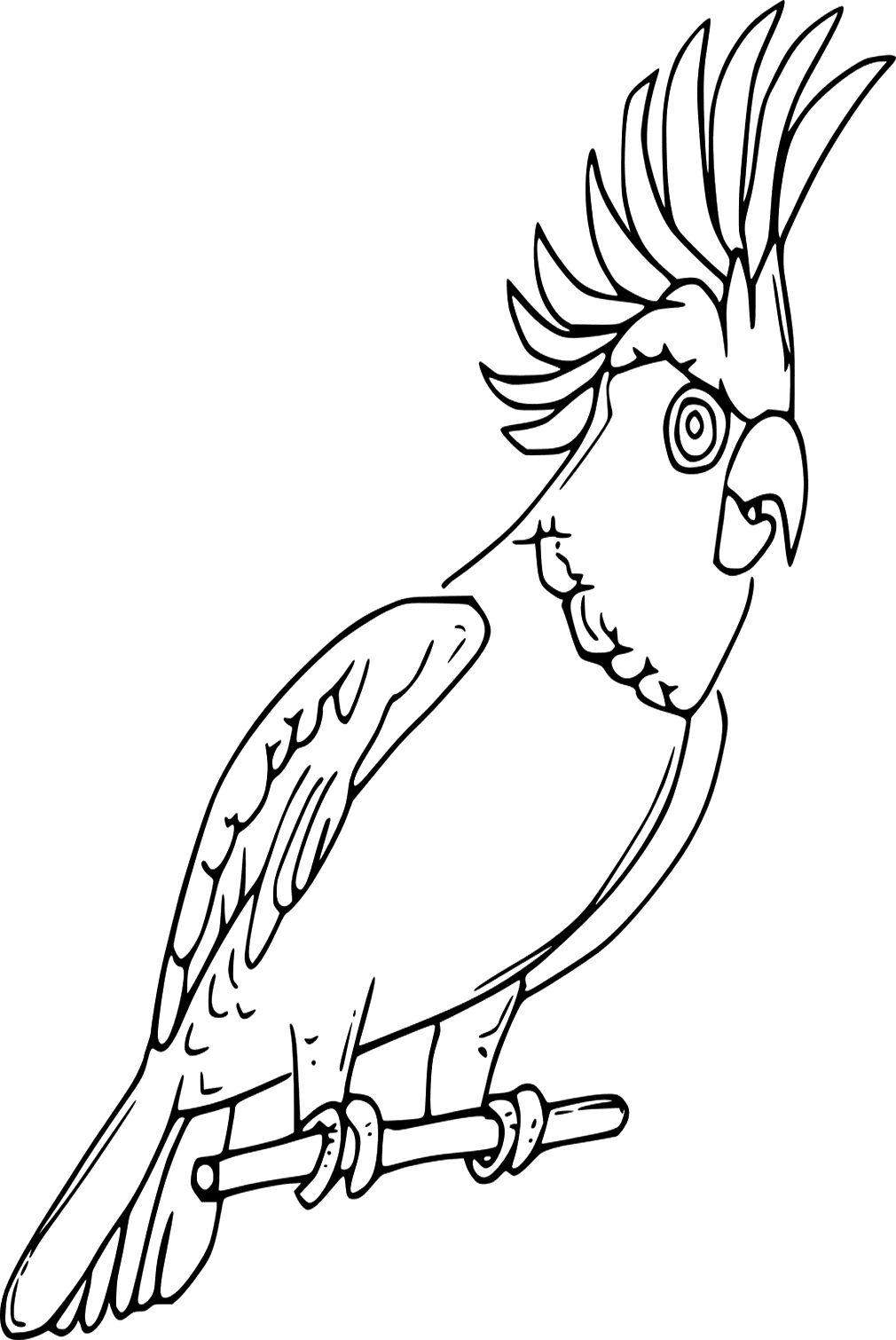 Pearl Cockatiel Coloring Page