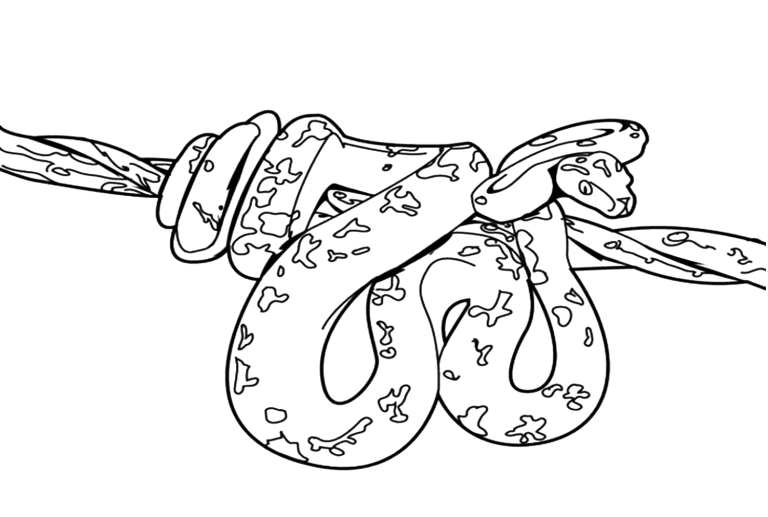 20+ Python Coloring Pages - Free Printable PDF & Online Coloring