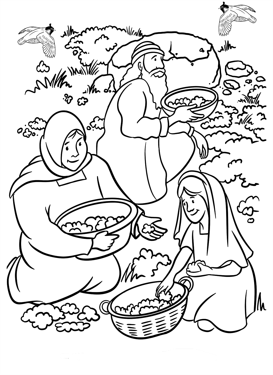 manna and quail coloring page