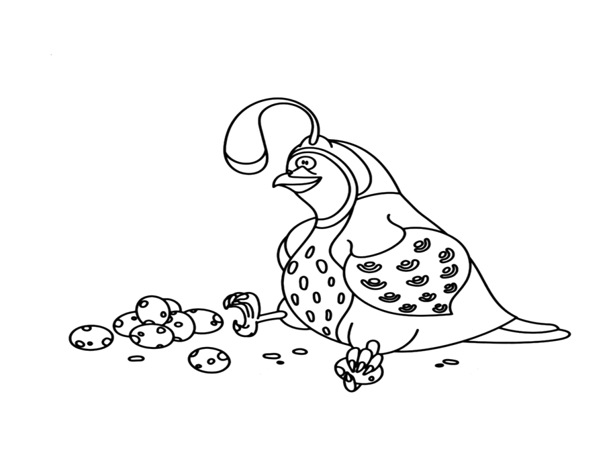 23 Free Printable Quail Coloring Pages