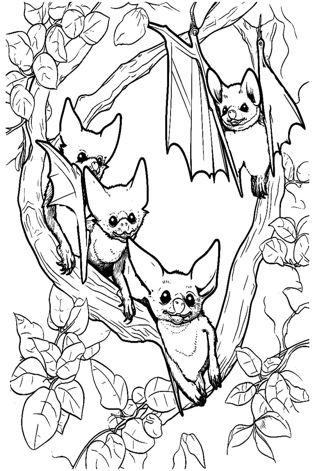 Pagina da colorare di pipistrelli realistici da Bat