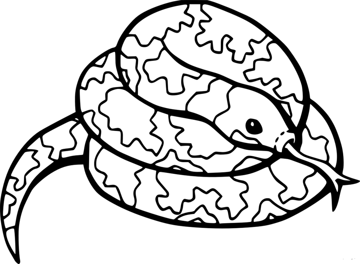 21 Free Printable Python Coloring Pages