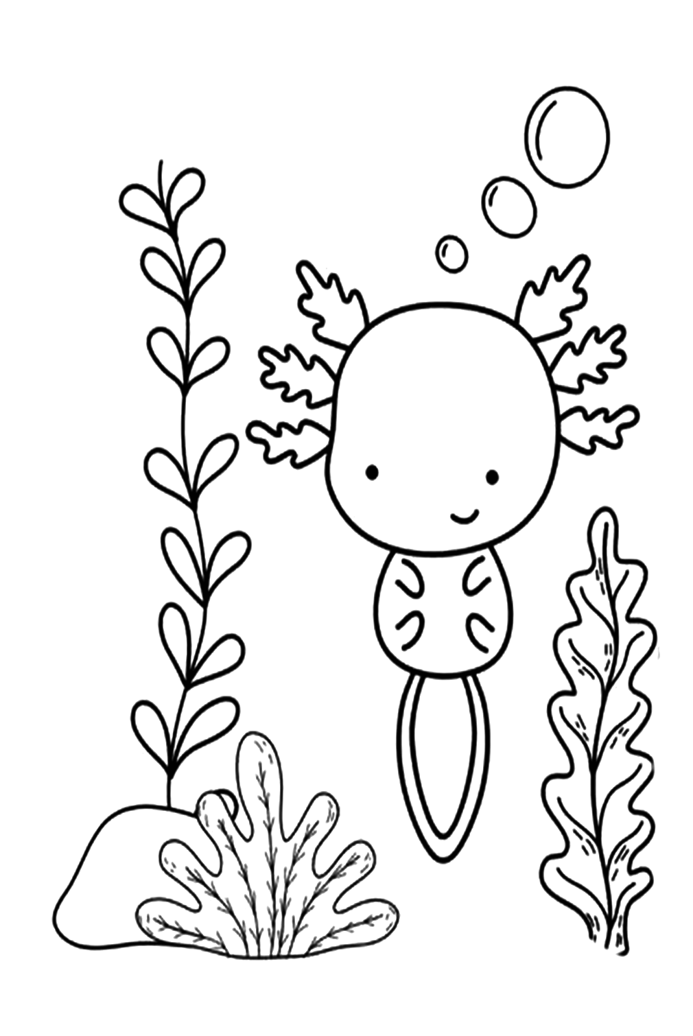 Dibujos para colorear de Squishmallow Axolotl de Axolotl