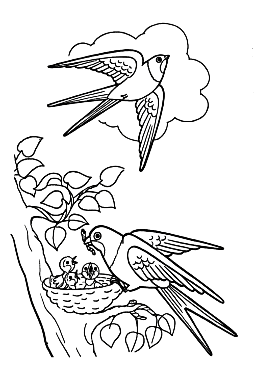 Página para colorear de pájaros golondrinas de golondrina