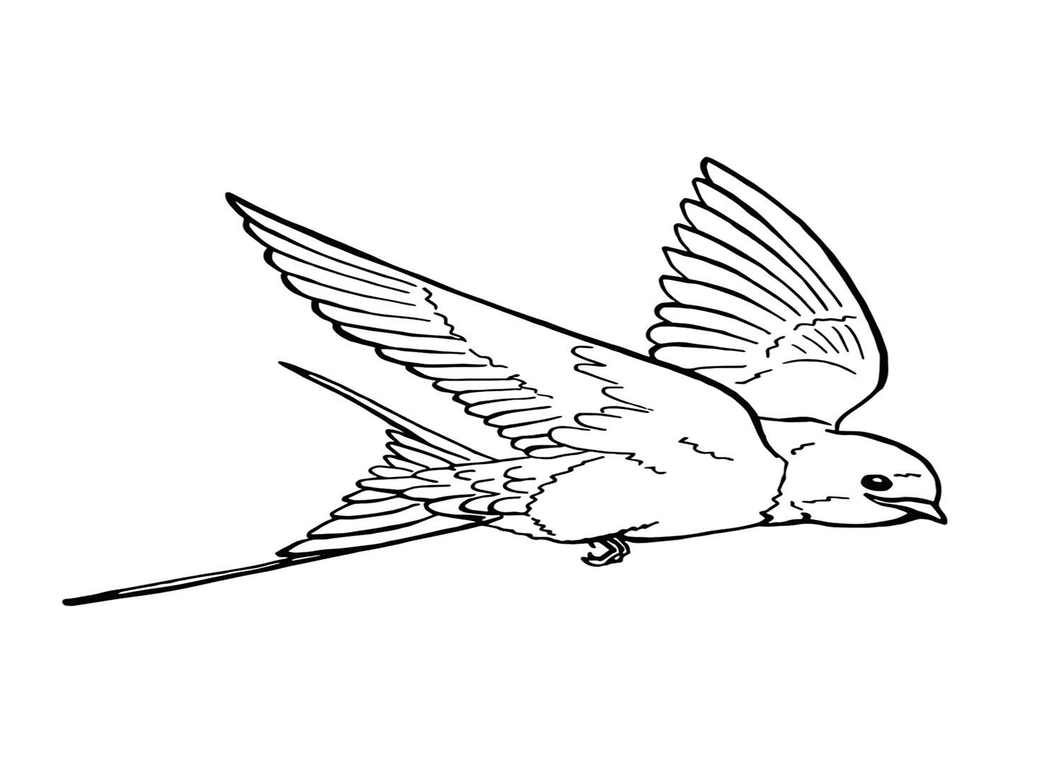 Página para colorear de golondrina voladora de golondrina