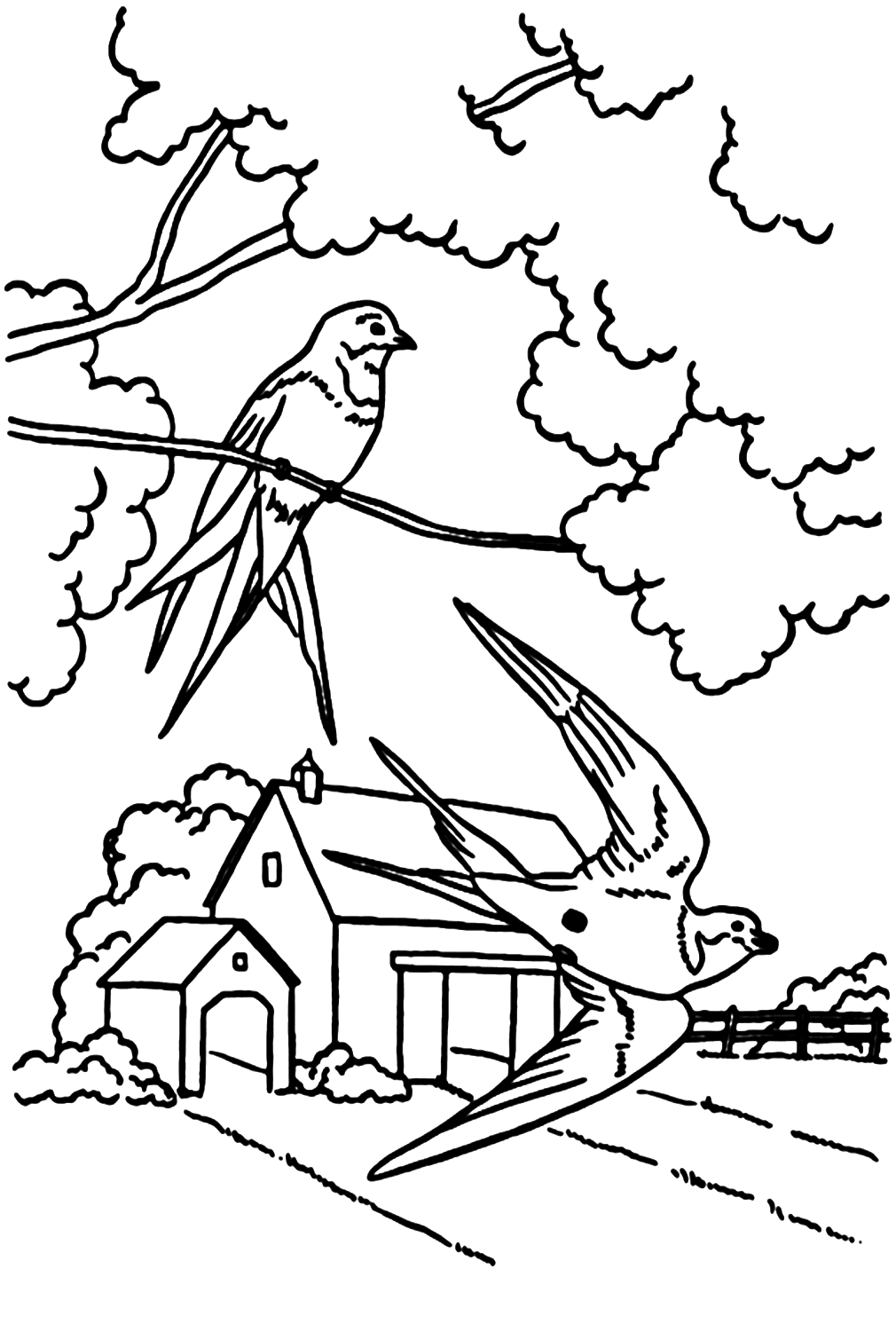 Página para colorear de golondrina en la granja de Swallow