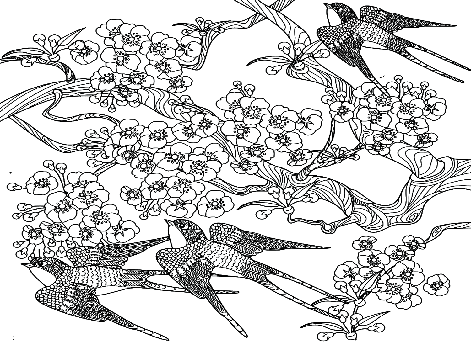Página para colorear de golondrinas con flores de Swallow