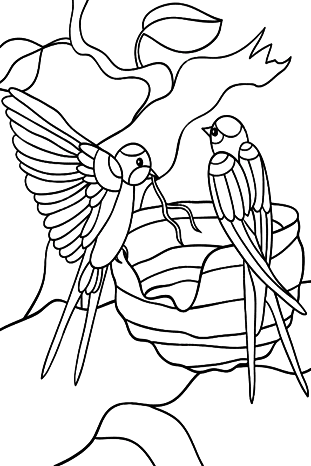 Desenhos para colorir de duas andorinhas from Swallow