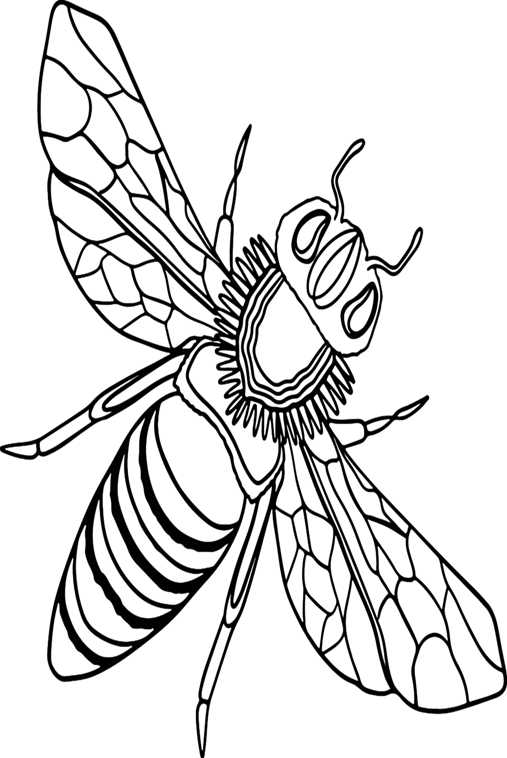 Wesp afbeelding om in te kleuren van Wasp