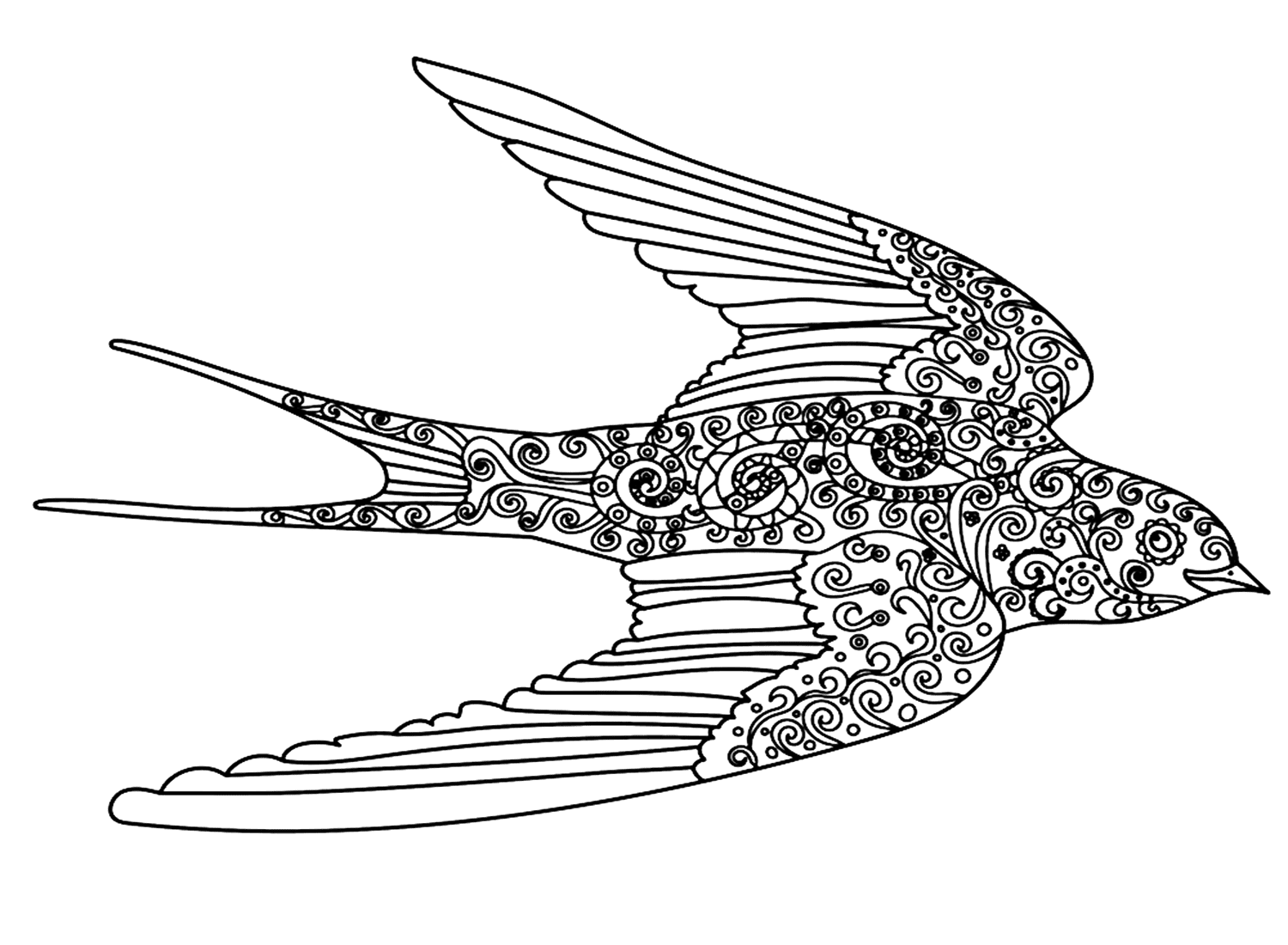 Zentangle zwaluw kleurplaat van zwaluw