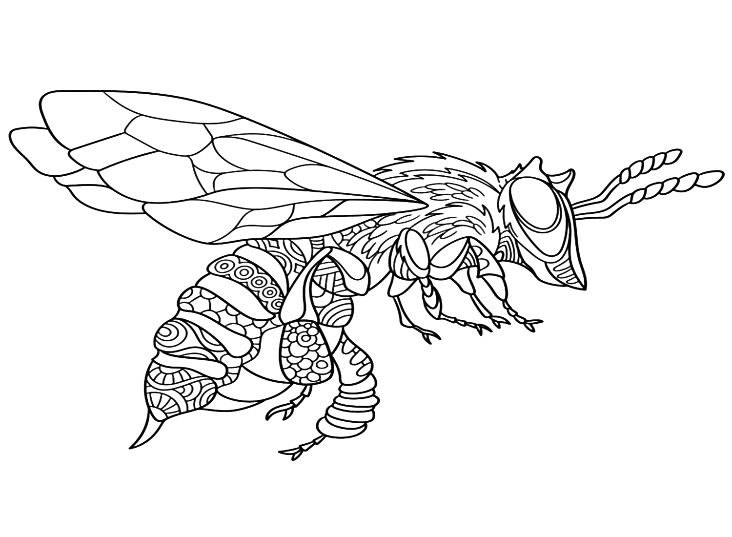 Zentangle Wasp kleurplaat van Wasp