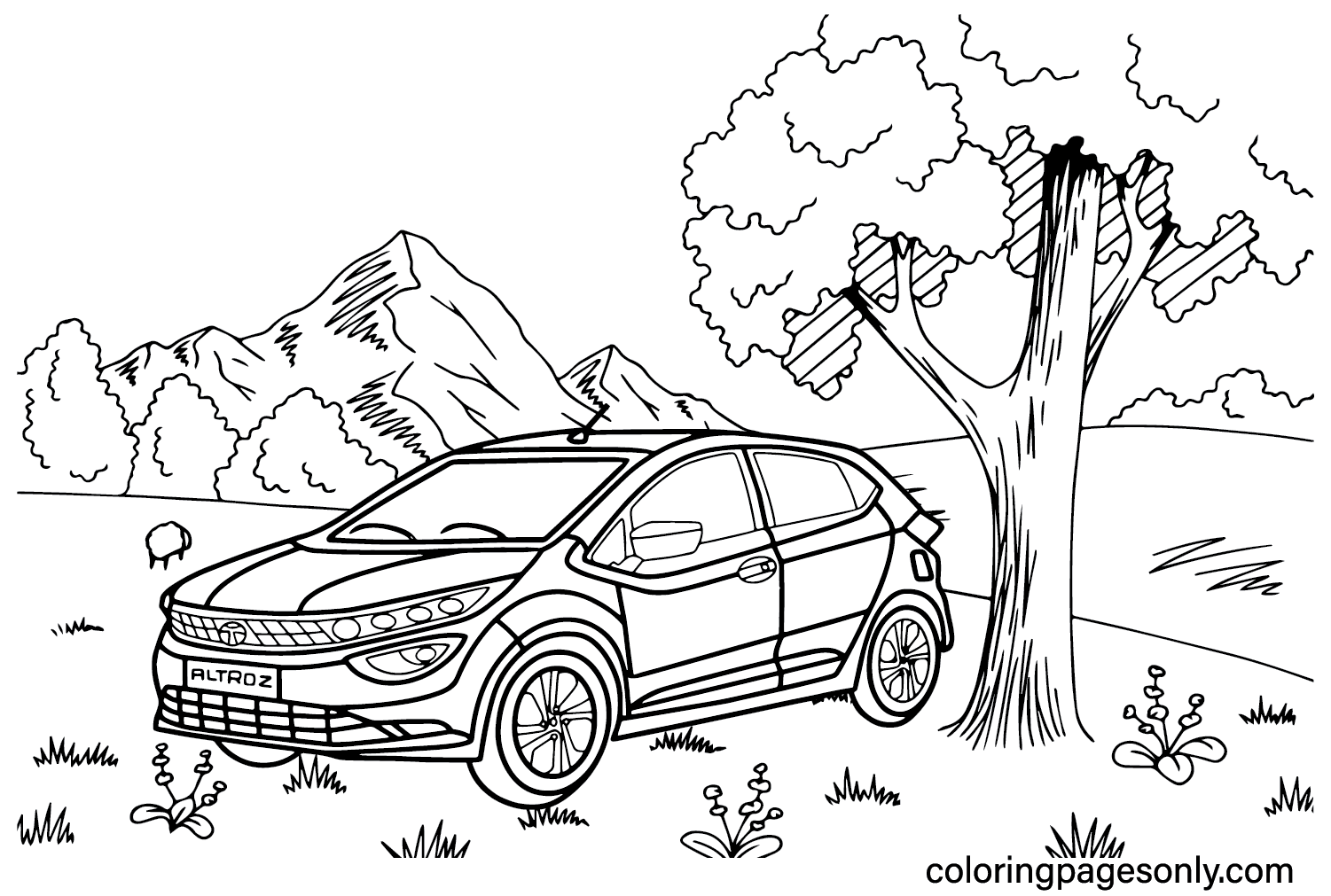 Tata Altroz Coloring Page from Tata